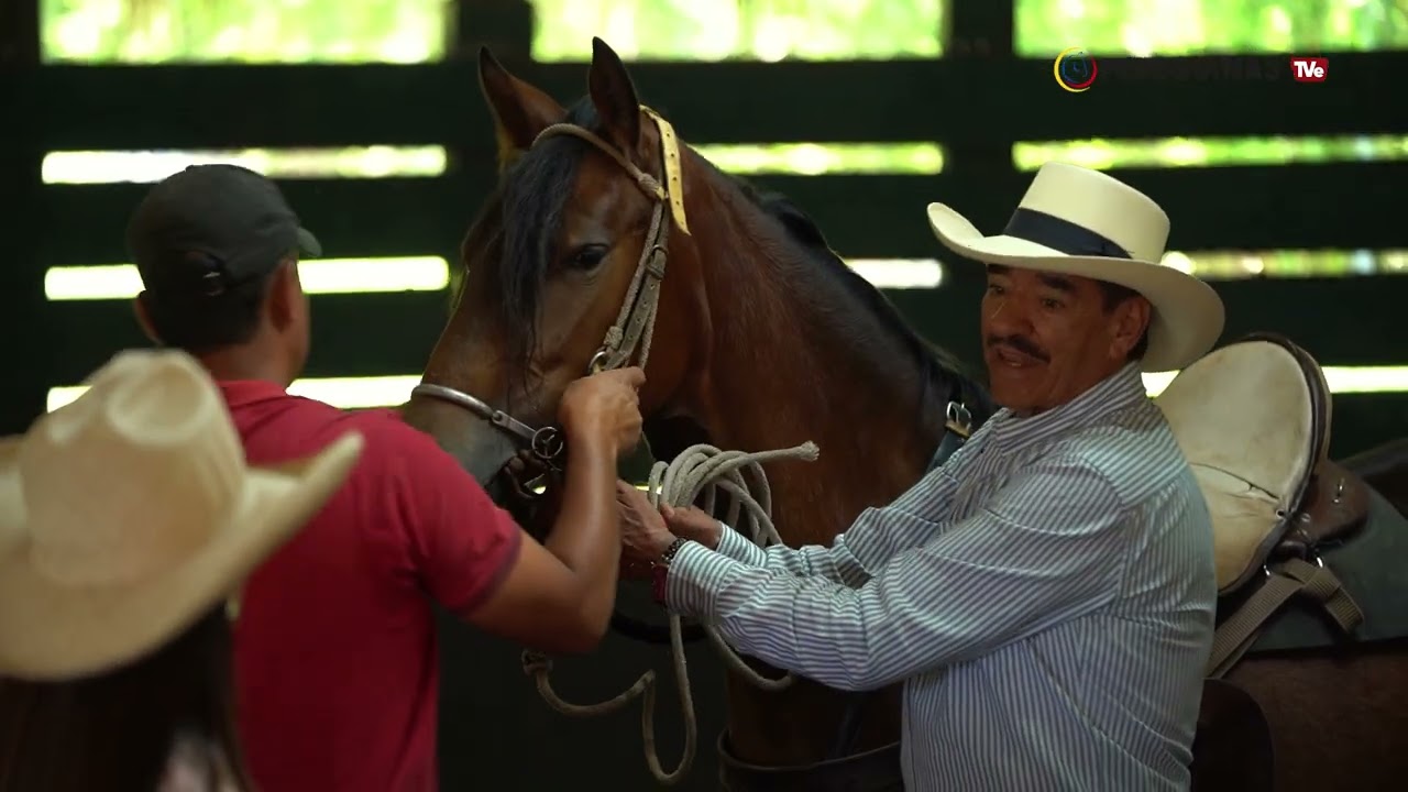 FEDEQUINAS TVe  DOMA EN EL CABALLO CRIOLLO COLOMBIANO CON GONZALO FRANCO