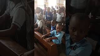 Details Pupils of St Mary's Catholic School Guide