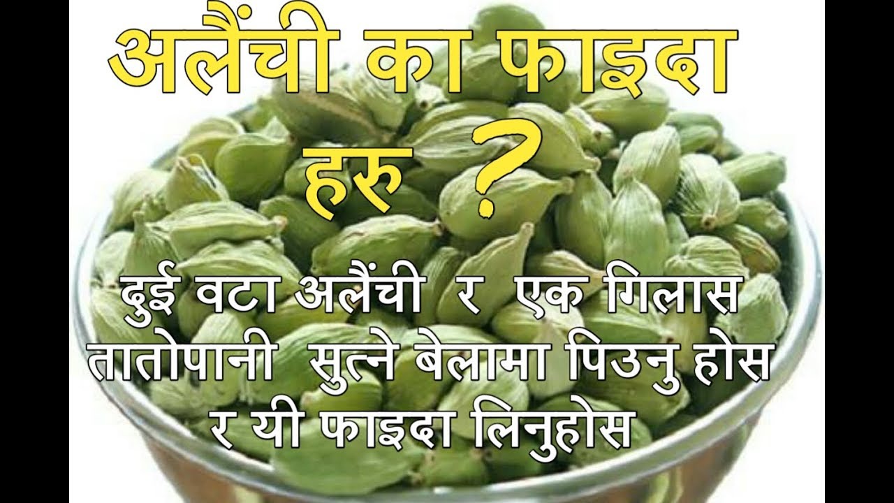 अलैंची का फाइदा हरु nepali health tips nepali health care benifit of