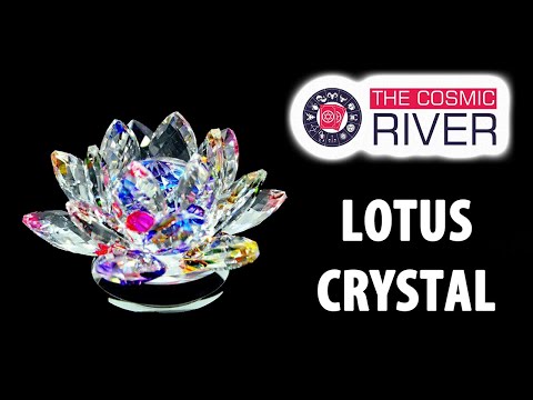 Βίντεο: Το κορίτσι του Τιμάτι έλαβε το βραβείο Crystal Lotus