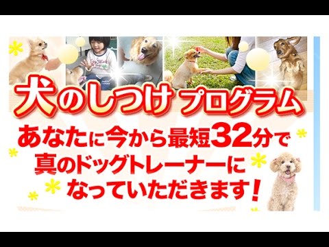 本質の犬のしつけプログラム【堀川春広】愛犬との信頼関係を築く方法の詳細と評判（ホリページ）