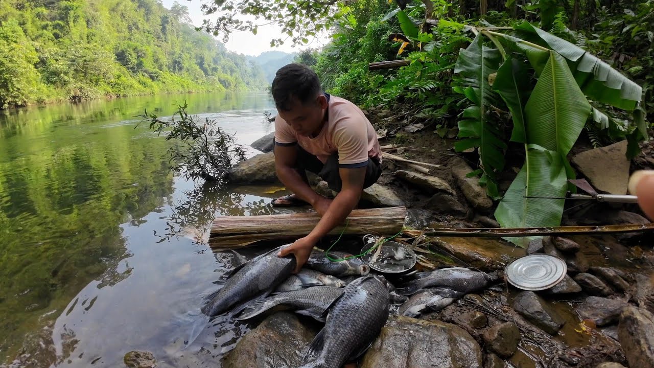 Bắn Cá éc sông đồng Nai rất nhiều #cáéc #xuanvlogs 