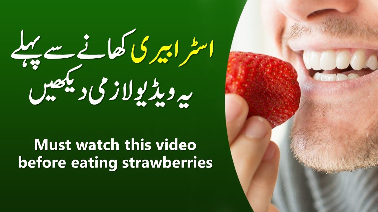 Why Is It Important To Eat Strawberries Urdu/Hindi Explained YouTube