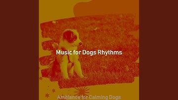 Pulsating Ambience for Calming Dogs