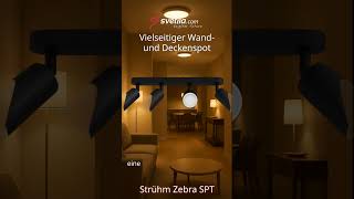 Video  - ZEBRA SPT GU10 4L schwarz / wei&szlig;