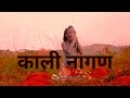 बाबाराम देव भजन न्यू।।2024