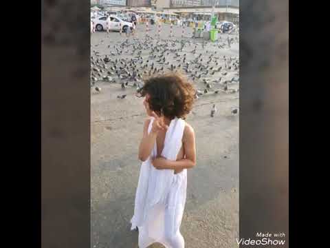 انت نور الله فجرا جئت بعد العسر يسرا مع اجمل طفل في العالم في مناسك العمرة فيصل المطيري