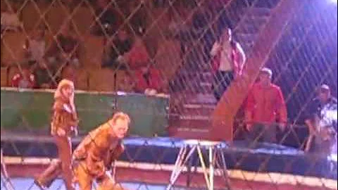 Lion Attacking - Ring Master (Lion's Revenge)