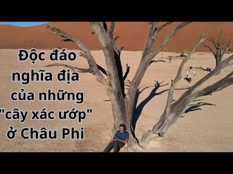 Video: Điểm du lịch tốt nhất ở Namibia