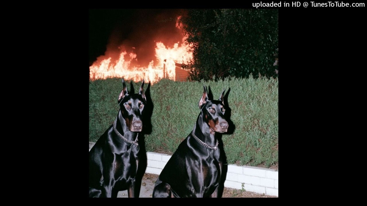 FREE Ateyaba x La Fève - 