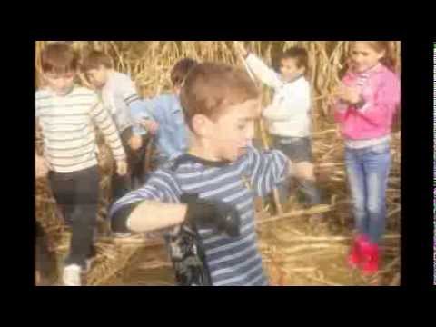 ბავშვები ყანაში -- მაია დარჯანია