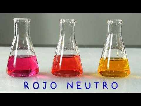 Video: ¿Cómo funciona el rojo neutro?