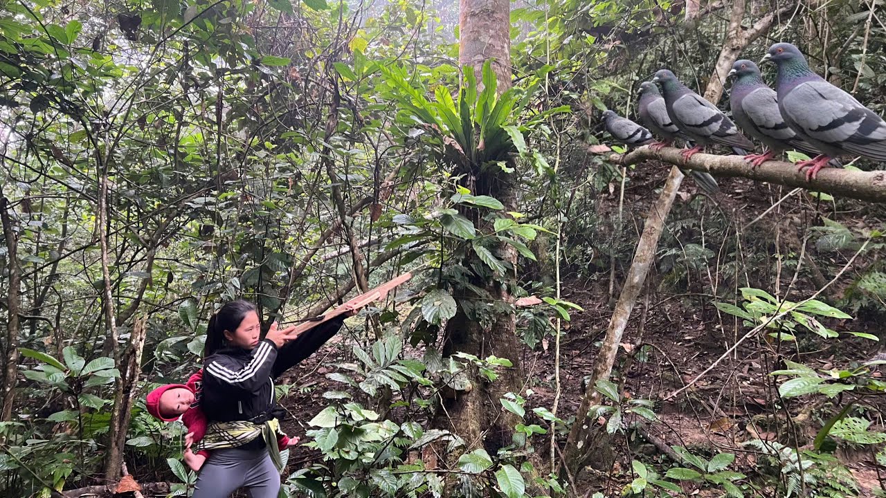 48 Hours of Survival in the Wilderness | No Tools, No Help – Cooking Food & Sleeping Outdoors