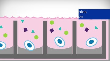 Imaging, Track, Analyze, and Automate Isolation of Colonies from Single Cells