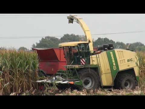 full version Cornharvest 2021 in the mud Mulders bv krone big x 850+ easycollect 12 rows+fendt