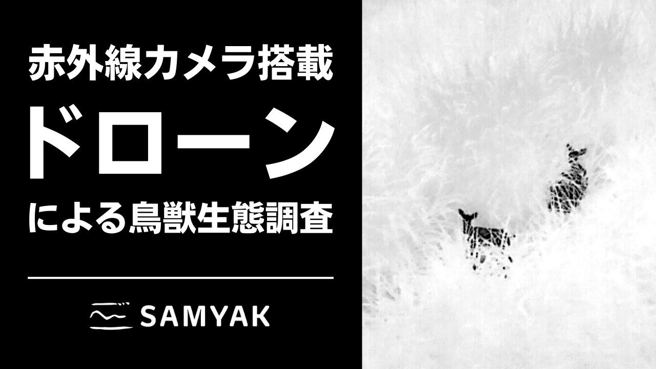 赤外線カメラ搭載ドローンによる鳥獣生態調査