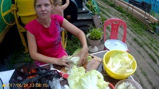 Настя маринует пекинку , набрали черемши. Настя маринует пекинку , набрали черемши.