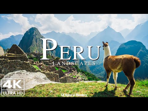 Videó: Perui vámszabályok