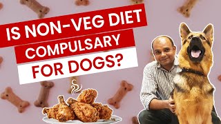 Is Non-Veg Diet Compulsory for Dogs? - Baadal Bhandaari by Dogs Your Friends Forever 8,725 views 6 months ago 5 minutes, 44 seconds