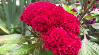 Очень красивый денечек☎️📞8928-023-23-02☎️📞