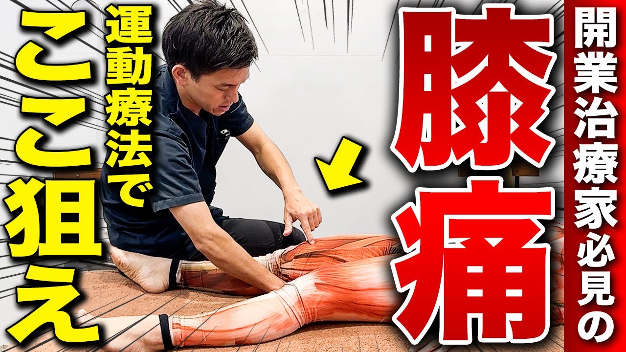 【1人治療家は絶対見て】重症膝痛やO脚の患者さんには「内側広筋」を狙ってください！驚愕の神ワザ治療テクニックを徹底解説します！