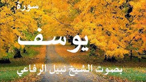 سورة يوسف بصوت القارئ نبيل الرفاعي