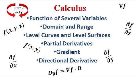 Multivariable Calculus Part 1| Partial Derivatives, Domain & Range, Gradient, Directional Derivative