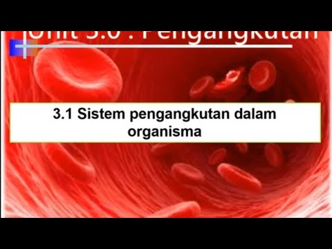 Sains Ting 3 Bab 3 1 Pengangkutan Sistem Pengangkutan Dalam Organisma Youtube