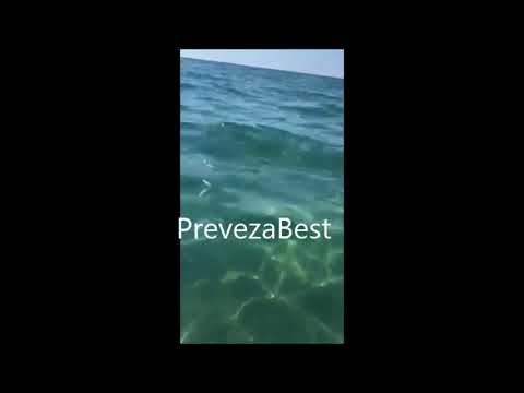 PrevezaBest  - Ψάρια παραλία Βράχου - Λούτσας