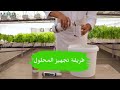 طريقة خلط المحلول المغذي للزراعة المائية 