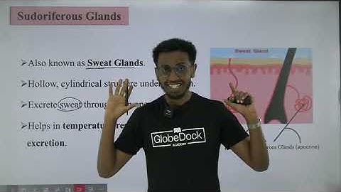 Grade 8 General science unit 4  _  4.1.1 Components of the integumentary system part 5