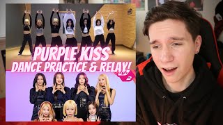 DANCER REACTS TO PURPLE KISS | "Ponzona" Dance Practice & Relay Dance!