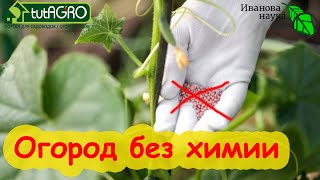 ОГОРОД БЕЗ УДОБРЕНИЙ! Такое возможно? Да! В созвездии BioDSO есть такая опция - Биогидрогель!