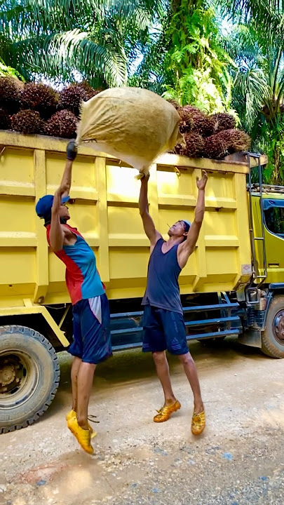 Muat sawit di truk | banyak brondolan bikin lemas #shorts