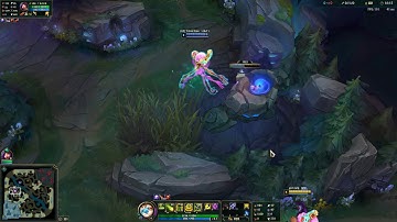 Ivern neeko bug