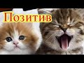 Позитив. Улыбнитесь. Создай себе хорошее настроение