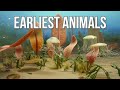 The Fascinating Origins of Early Animal Life and Evolution