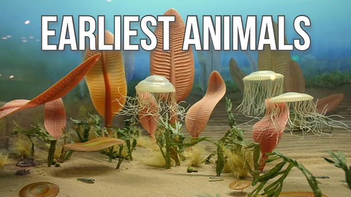 Precambrian Creatures: The First Animals - DayDayNews