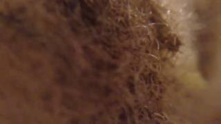 IMG 4554