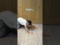 3姉妹で雑誌の表紙撮ってみた#Shorts