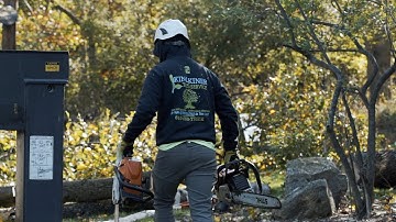 Kingkiner Tree Service Promo Video