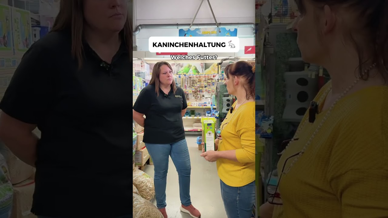 Kaninchen kaufen und fertig? Nicht ganz! Wir zeigen, worauf es wirklich ankommt. 🐇