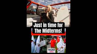 Are these random black celebrities, for Trump, showing up just in time for the midterms?