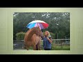 Rainy Day Horsemanship Book Trailer