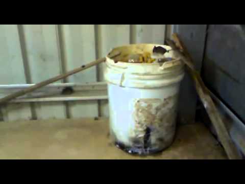 Beginilah Cara Kerja Perangkap Tikus Terbaik di Dunia Beginilah Cara Kerja Perangkap Tikus Terbaik di Dunia