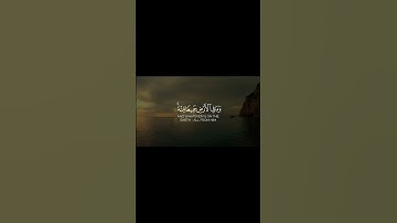 سورة الجاثية #رعد_الكردي #القرآن_الكريم #تلاوة_هادئة #foryou #اكسبلور #لايك #quran #حالات_واتس #fyp