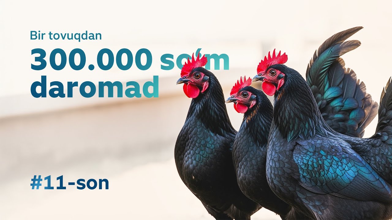 Har oyda 20.000 ta JO'JA sotayotgan onaxon #11 Mening Tomorqam / NAMANGAN