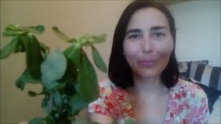 Вот так Дандур - съедобный Вот так Дандур - съедобный