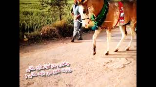 Matli Zuljnah Chanden Jo Pirh Matli 2022