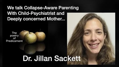 Collapse-Aware Parenting with Child Psychiatrist a...